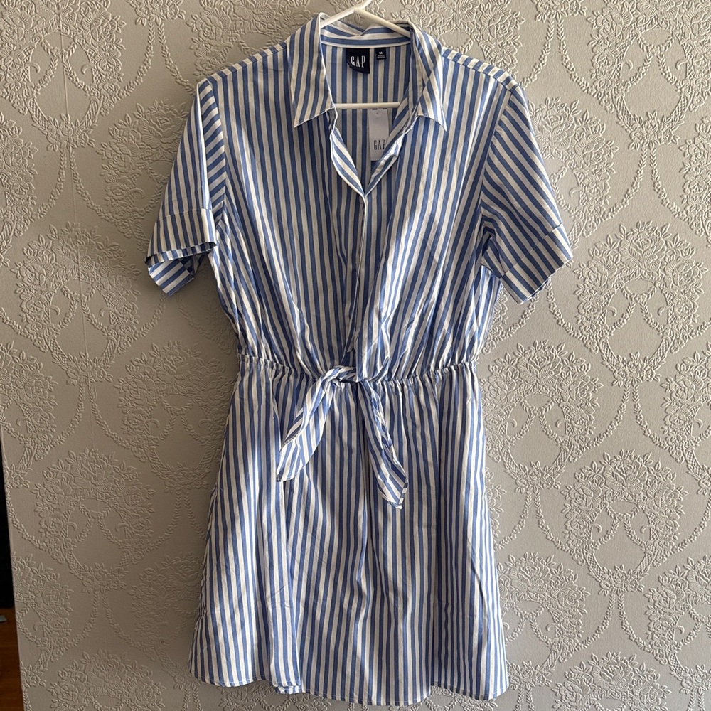 GAP Blue and White Striped Mini Dress